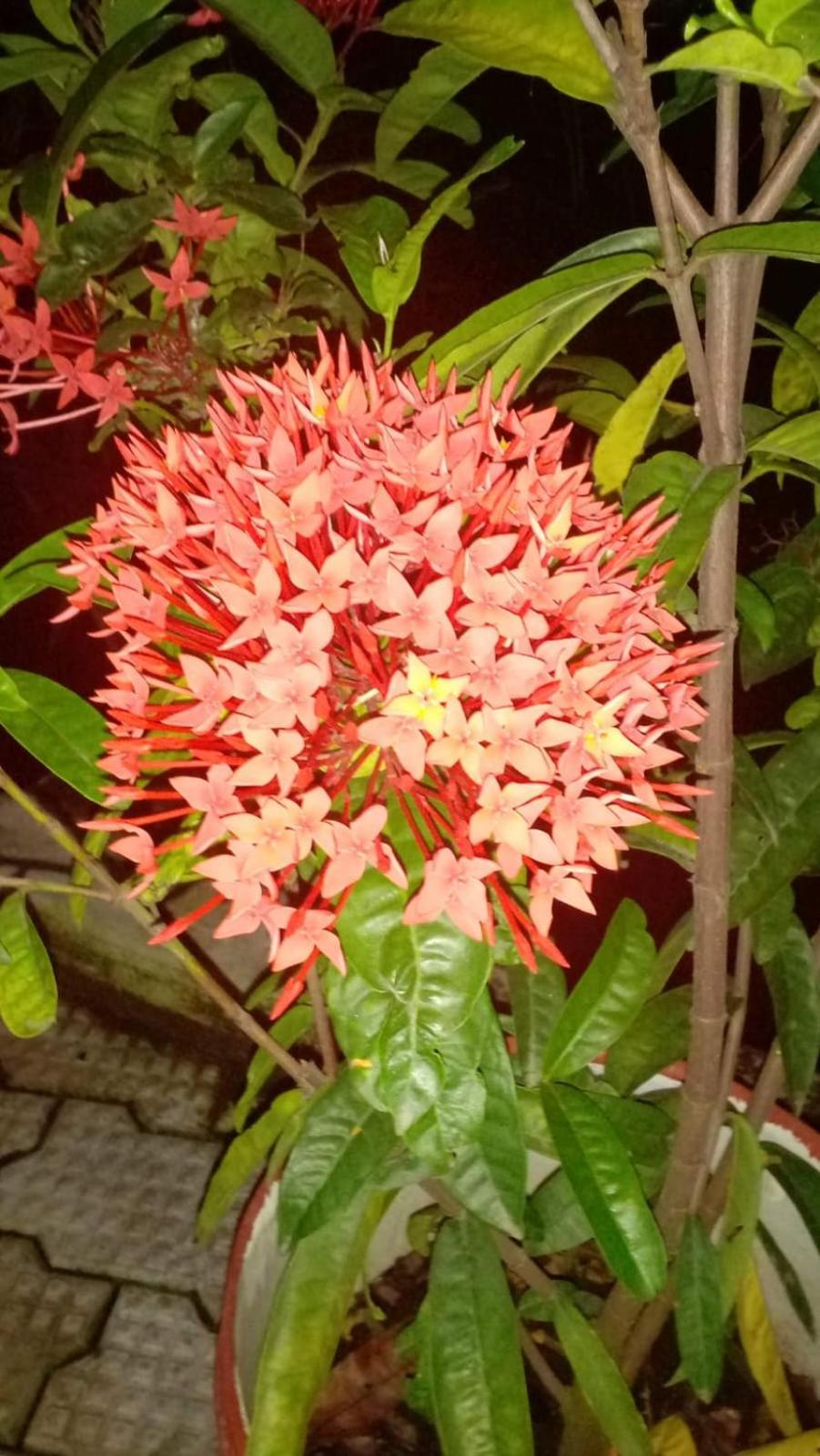 Indeevaram Residency Thiruvananthapuram Екстериор снимка